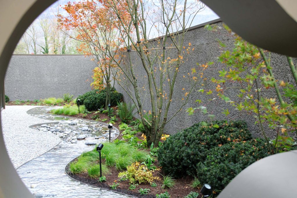 Solitärbaum Wasser Gartenplanung